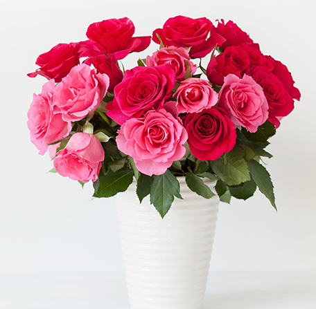 ורדים צבע ורוד בהיר בשילוב ורוד כהה