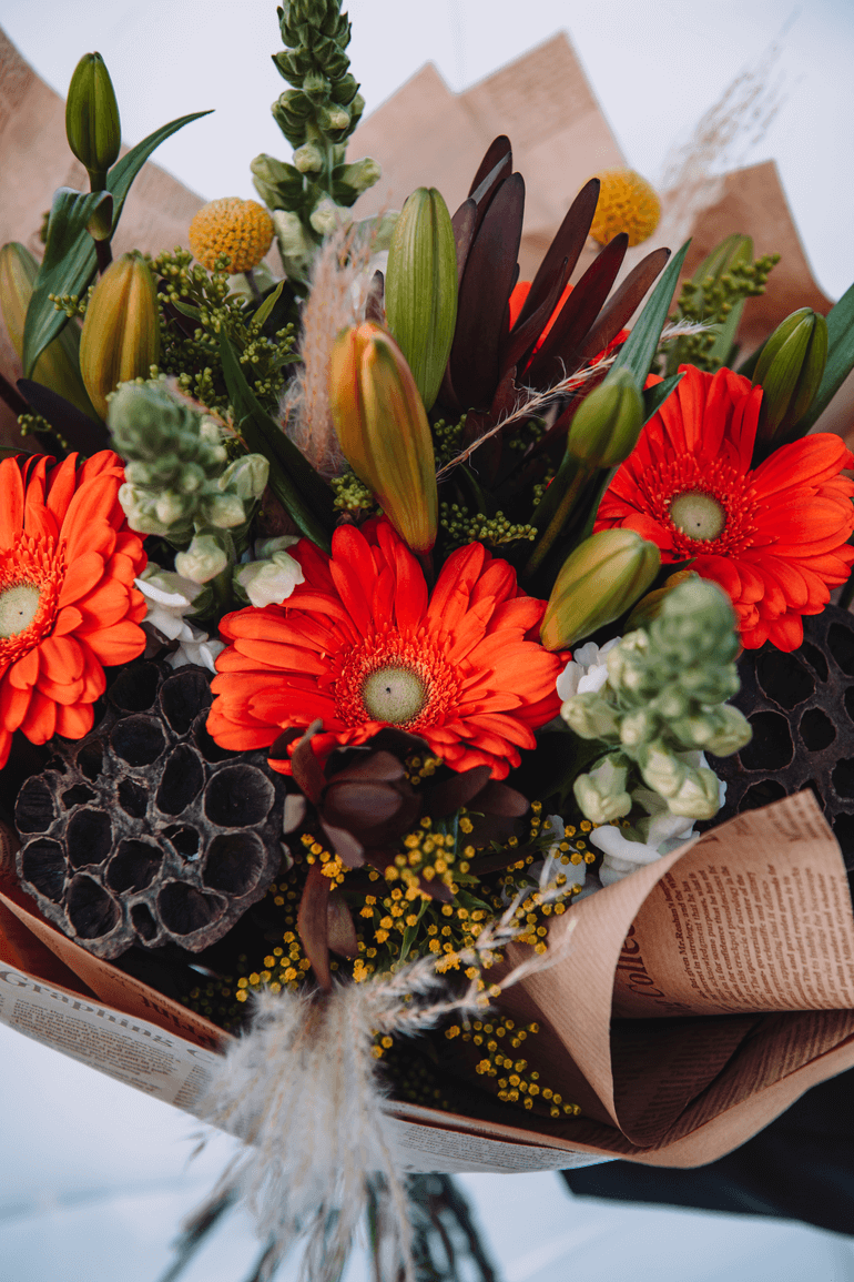 אנפוריום אדום