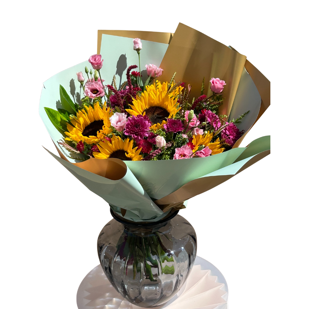 ריקוד צבעי השמש